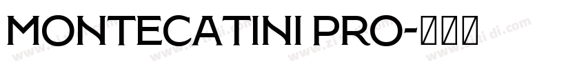 Montecatini Pro字体转换